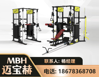 合肥多功能综合训练器