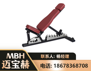 合肥可调哑铃椅